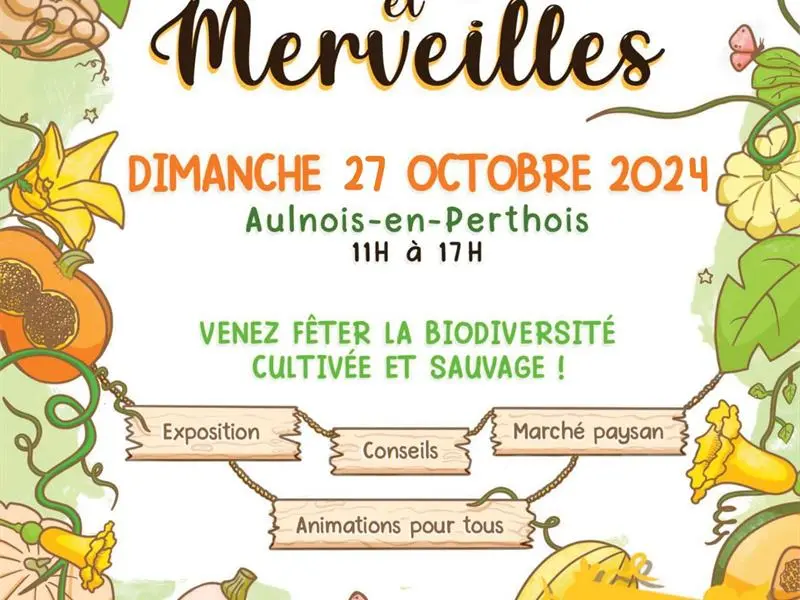 FÊTE COURGES ET MERVEILLES