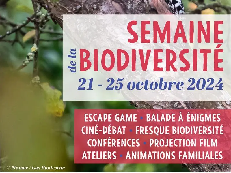 BALADE À ÉNIGMES SUR LES TRACES DE LA BIODIVERSITÉ ORDINAIRE SEMAINE DE LA BIODIVERSITÉ