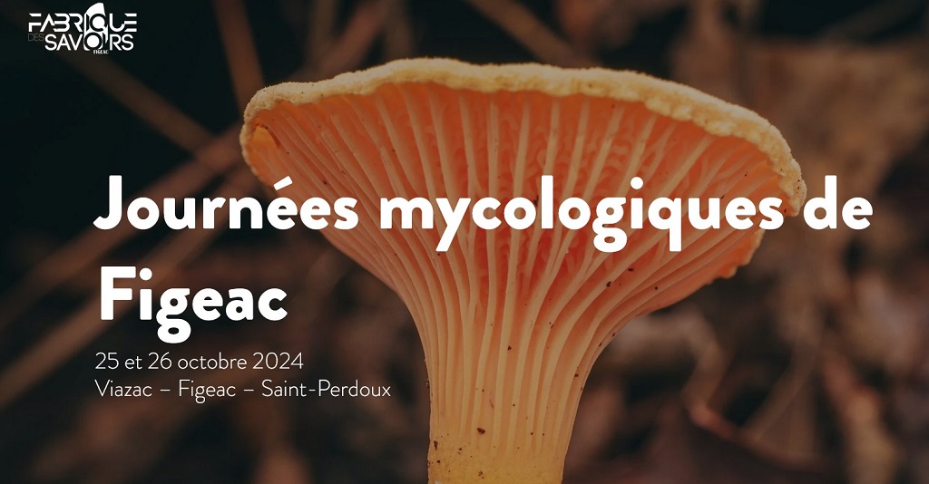 Balade mycologique avec la Fabrique des savoirs à Figeac