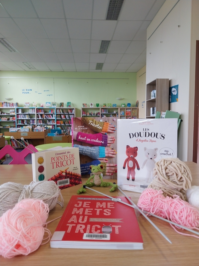 Tricot-thé Bibliothèque du Centre Culturel Jacques-Brel Mézidon Vallée d'Auge