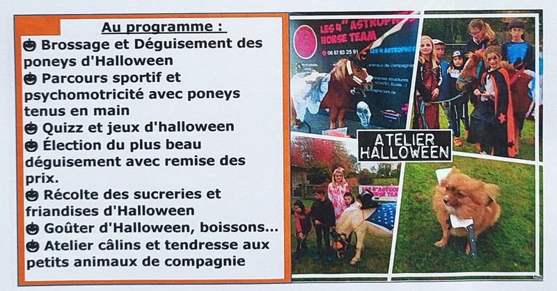 Halloween avec les poneys