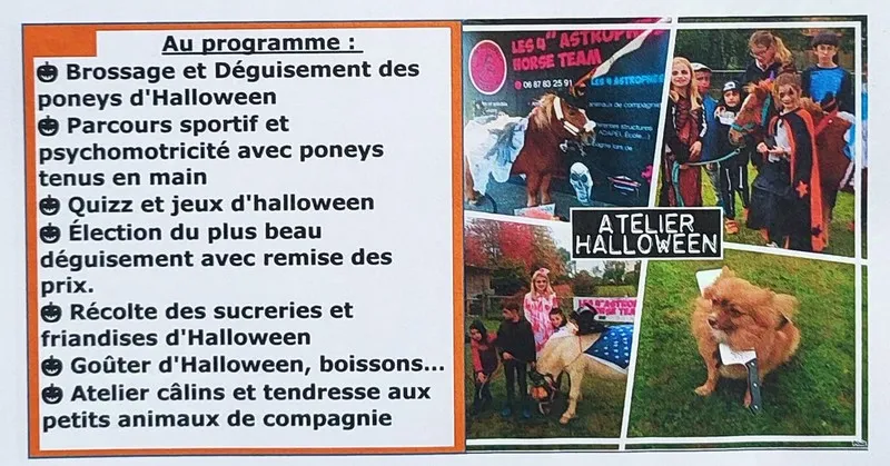 Halloween avec les poneys