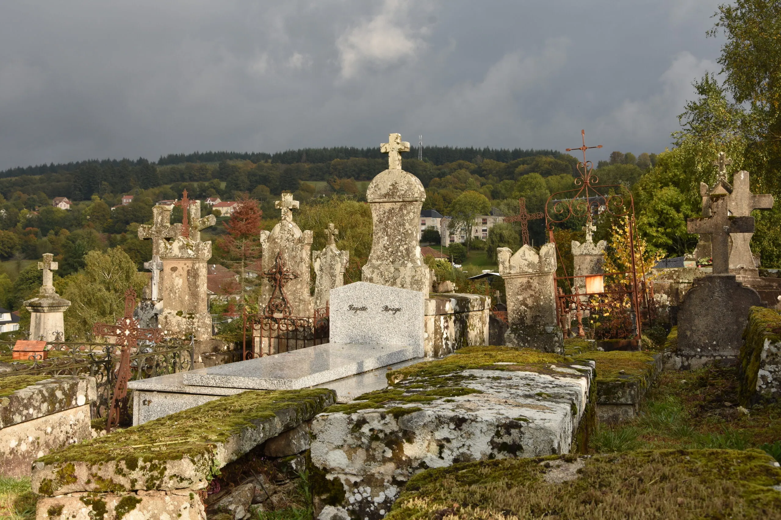 Dans les allées du cimetière Patrimoine funéraire et Paroles de mémoire