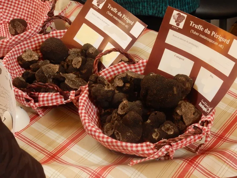 Marché contrôlé de producteurs locaux de truffes