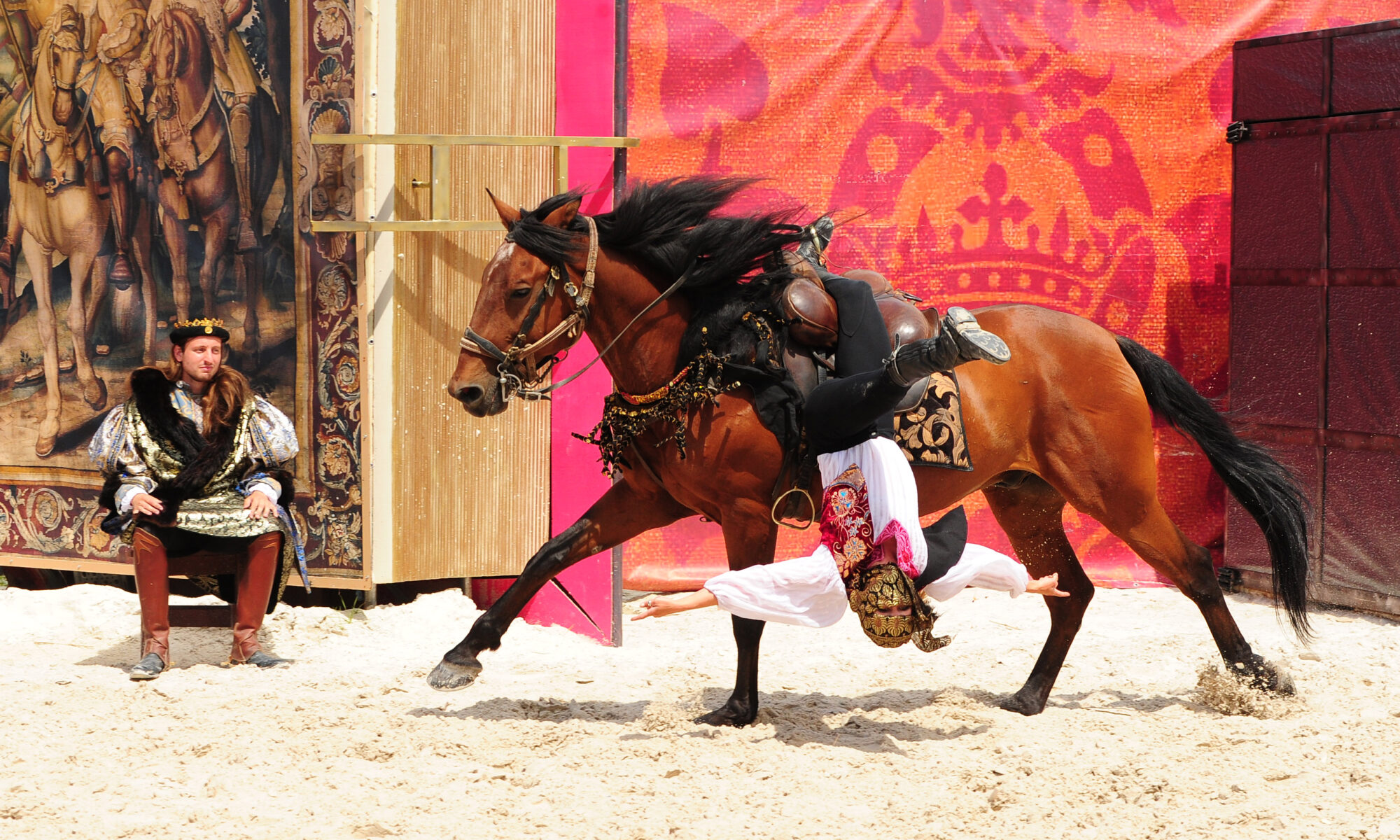 Spectacle chevaux et rapaces au château de Chambord François 1er