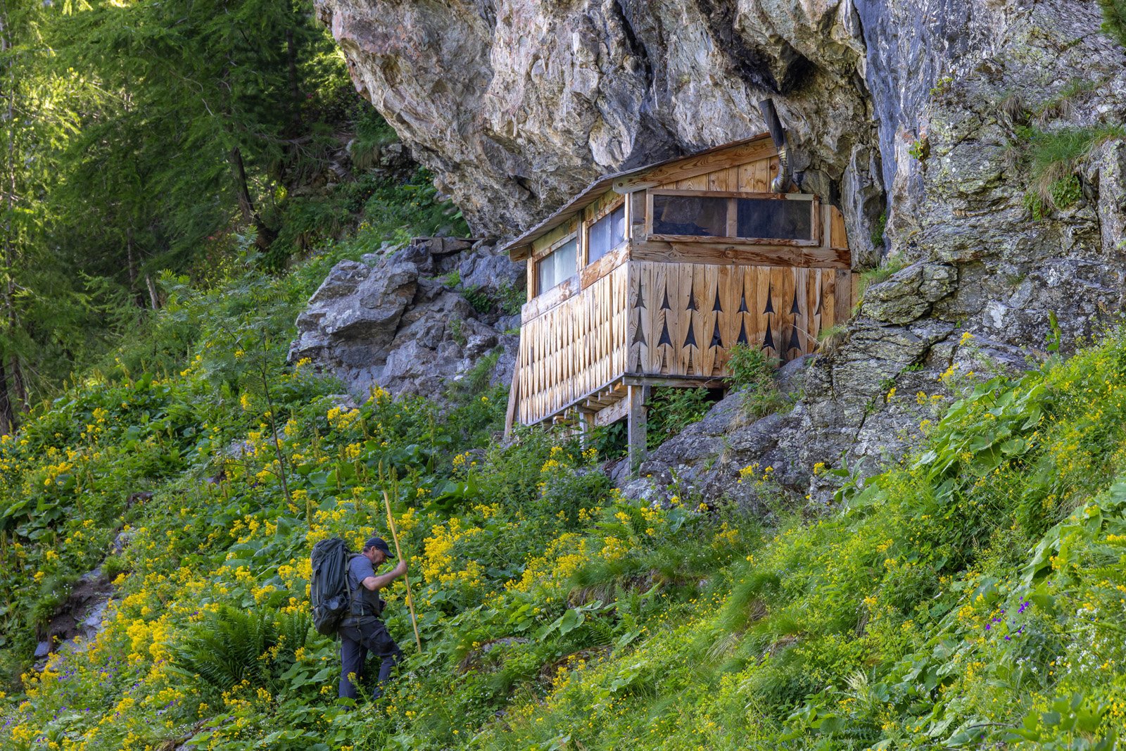 CINÉCO: VIVRE AVEC LES LOUPS