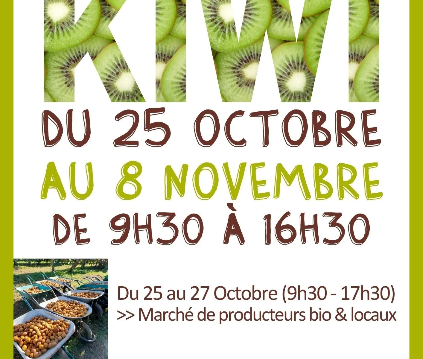 CUEILLETTE DE KIWI BIO