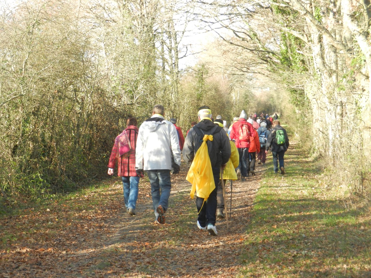 Rando de l'Espoir Dampierre en Burly vers Ouzouer sur Loire