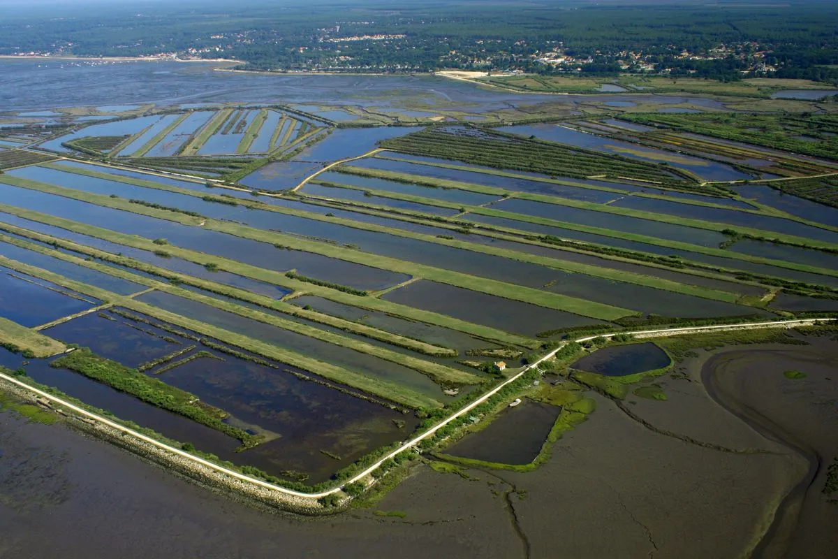 Domaine de Certes et Graveyron A l'affût de la nature