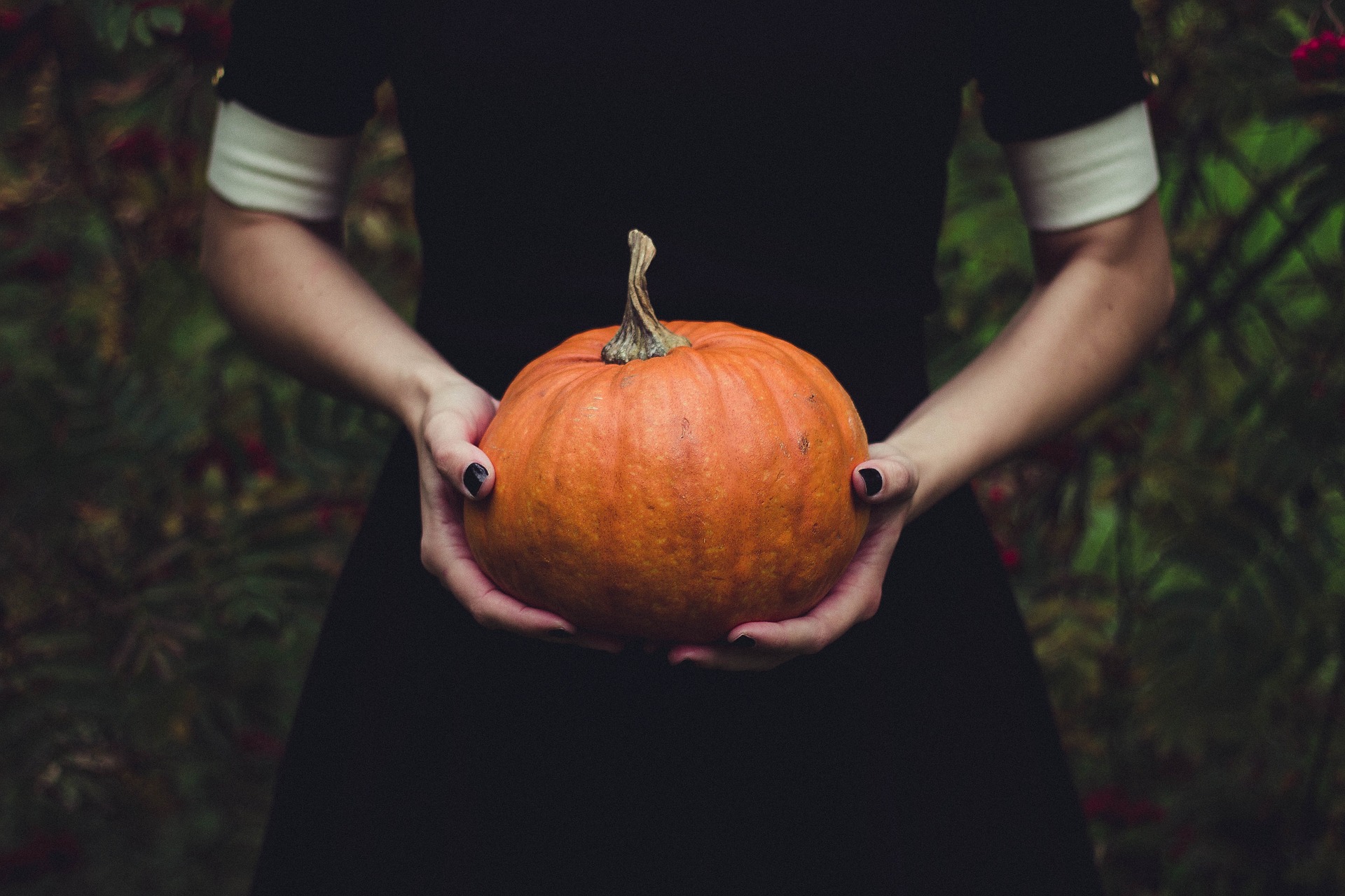 Décorons la Médiathèque. Thématique Halloween !