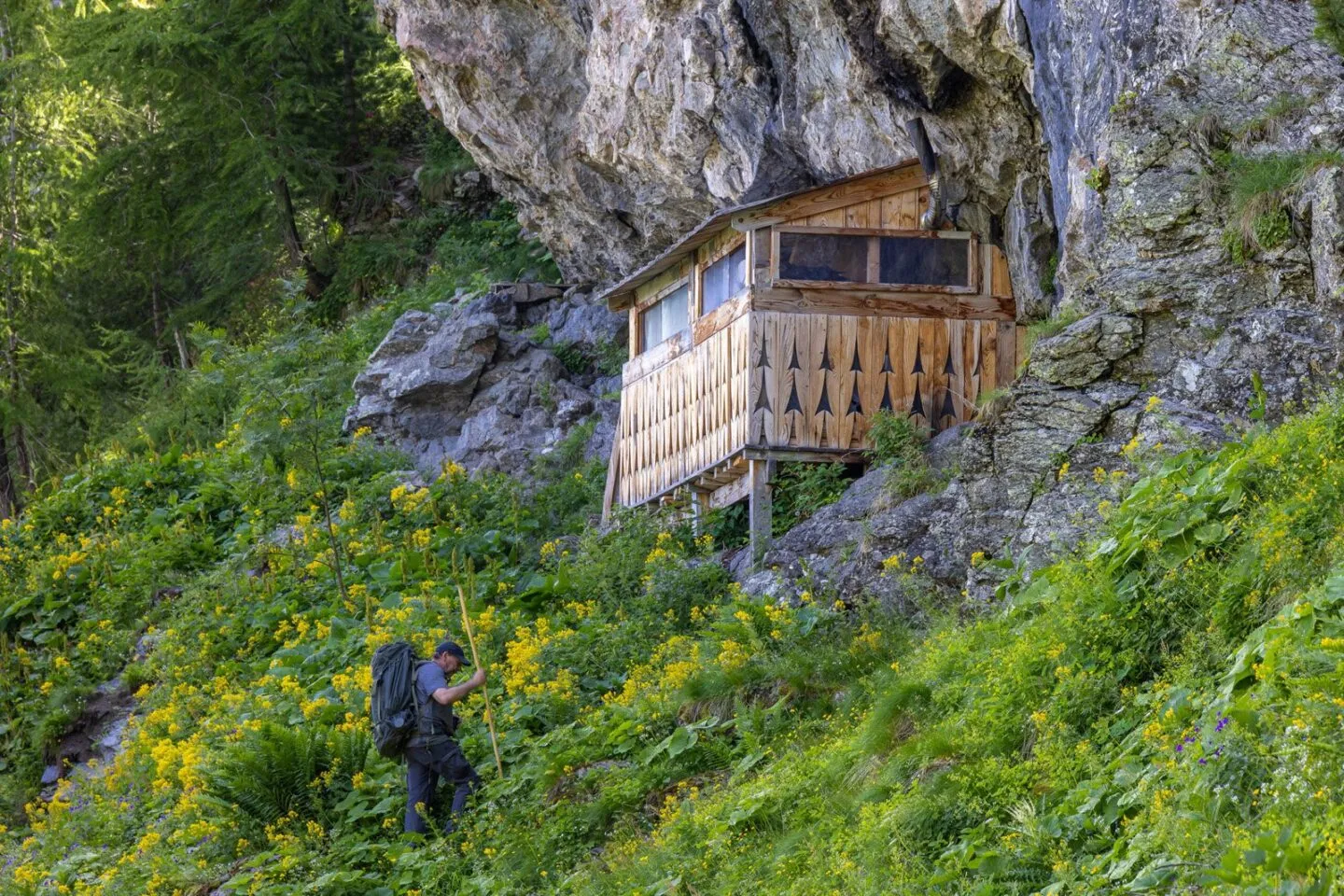 ÉVENEMENT CINÉCO VIVRE AVEC LES LOUPS