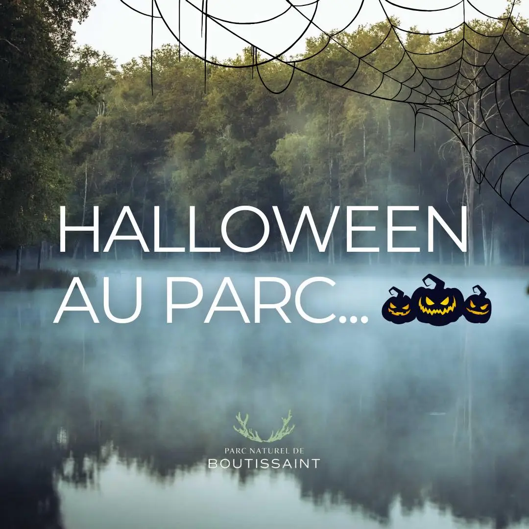 Halloween au Parc de Boutissaint