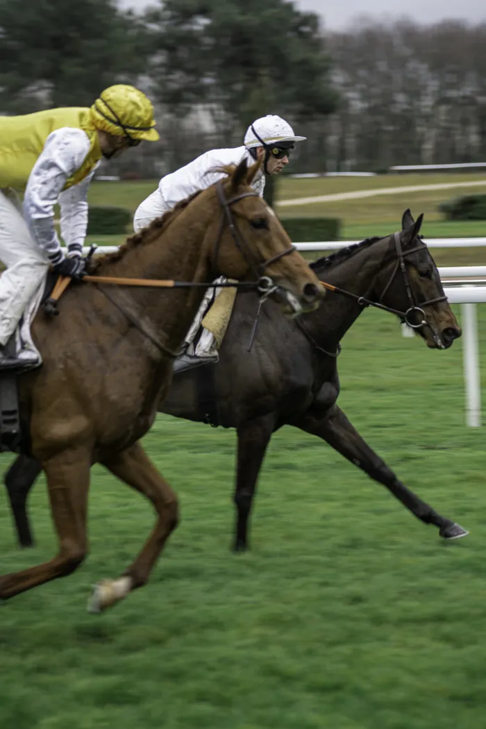 Courses hippiques du vendredi 22 novembre Hippodrome de Bordeaux-Le Bouscat Le Bouscat