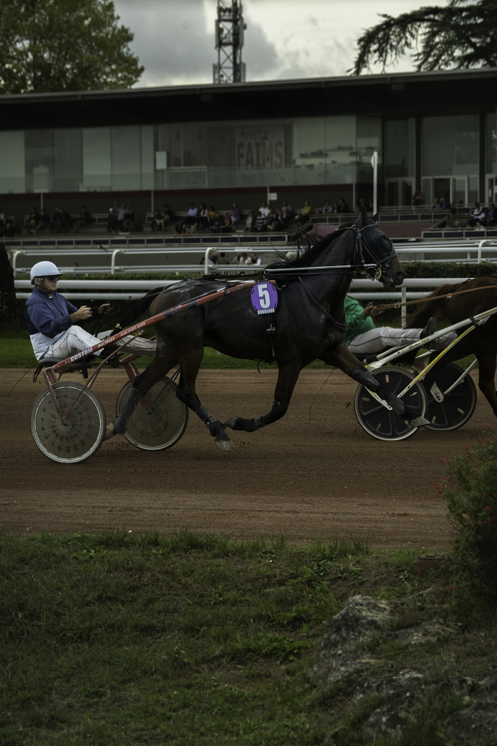 Courses hippiques du lundi 9 décembre Hippodrome de Bordeaux-Le Bouscat Le Bouscat