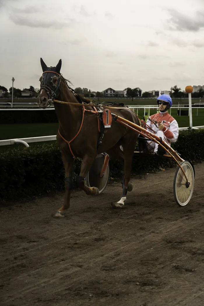 Courses hippiques du lundi 23 décembre Hippodrome de Bordeaux-Le Bouscat Le Bouscat