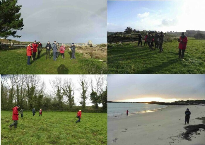 CHAUSEY/50 : stage GONm Îles chausey Granville