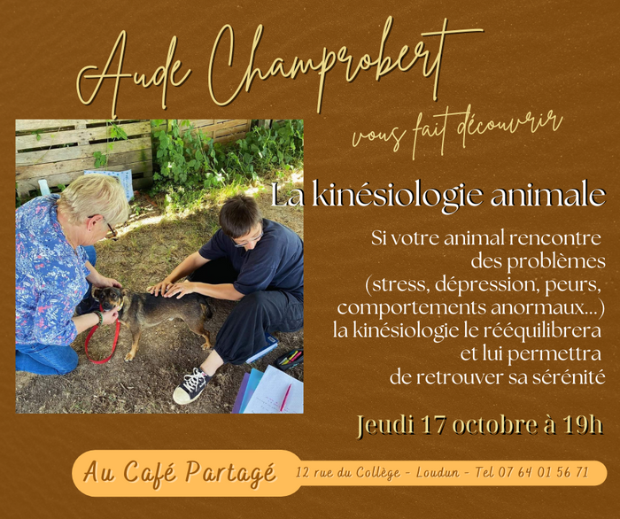 La kinésiologie animale par Aude Champrobert