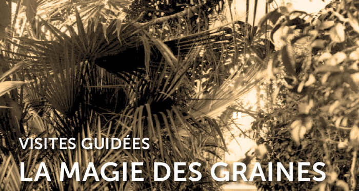 La Magie des graines Parc du Grand Blottereau Nantes