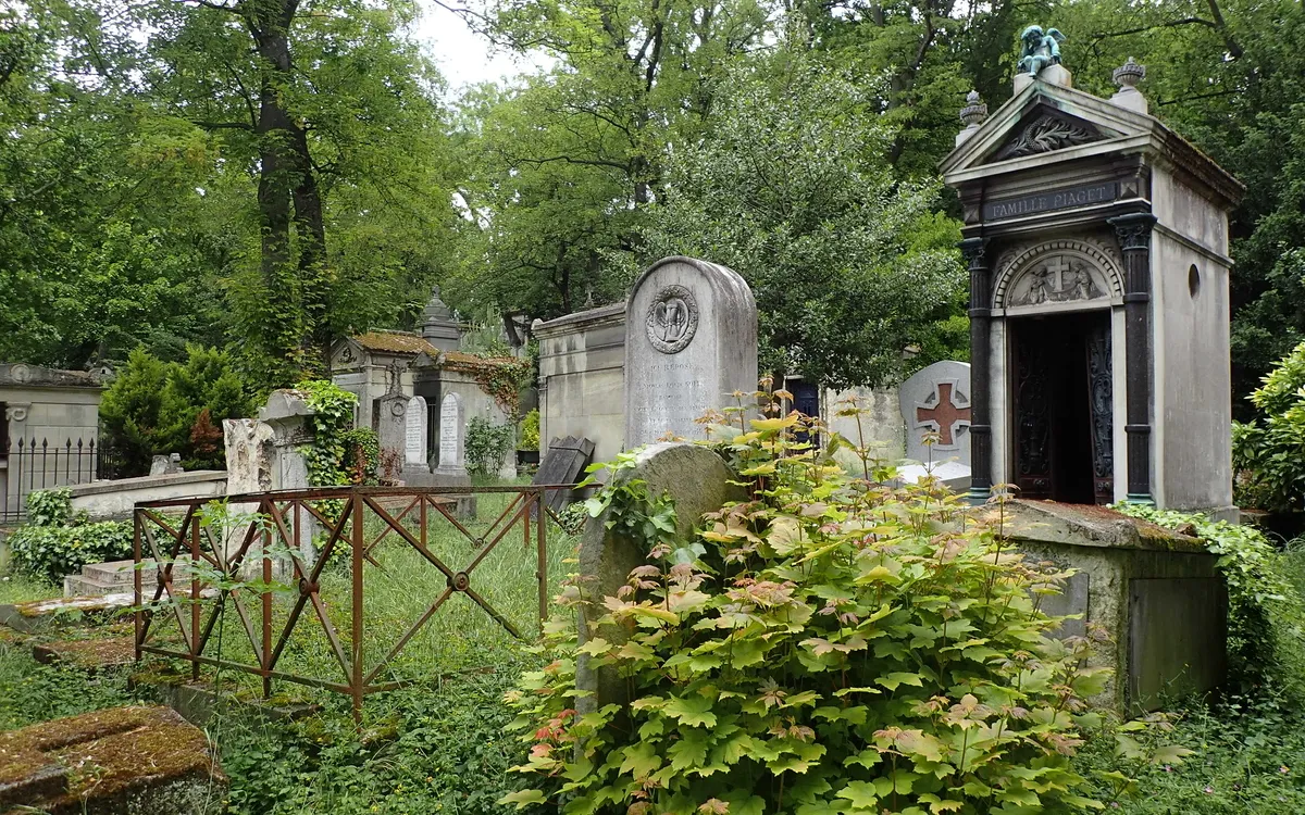 La nature au Père-Lachaise cimetière du Père Lachaise Paris