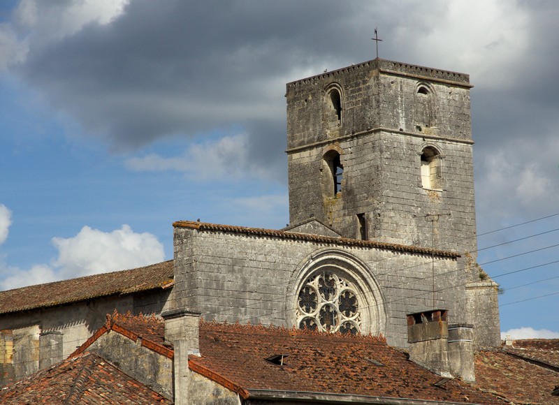 Fête de la Saint-Martin