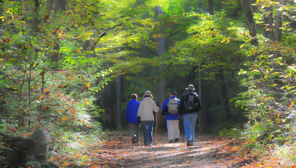 La traditionnelle Randonnée d'Automne