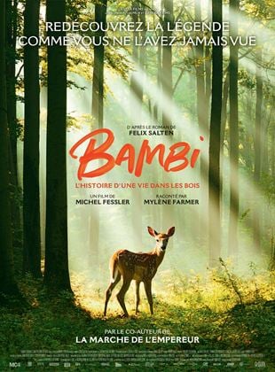 Cinéma Laruns Bambi