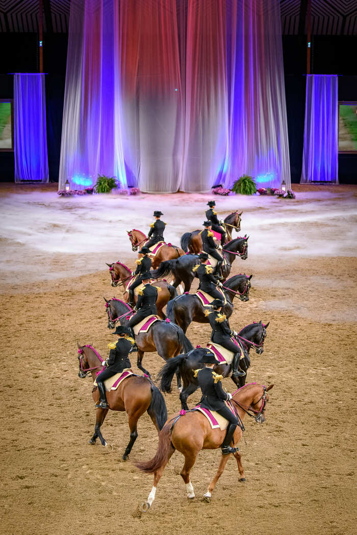 Au Cœur du Grand Manège Le Cadre noir de Saumur Saumur