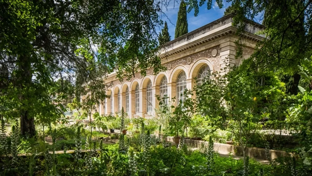 LE JARDIN DES PLANTES