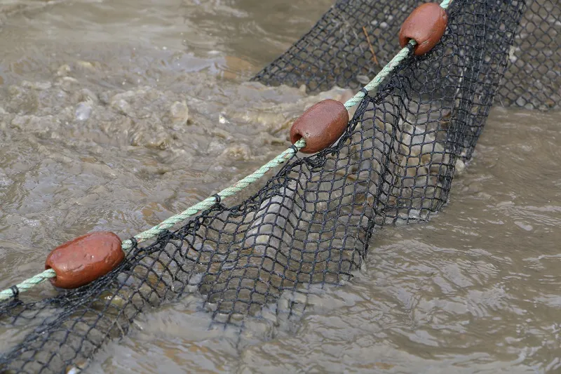 Pêche à l’étang de La Gabrière