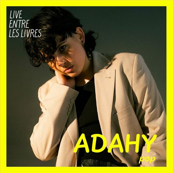 Live Entre les Livres : Concert d'Adahy Médiathèque de Noordpeene Noordpeene