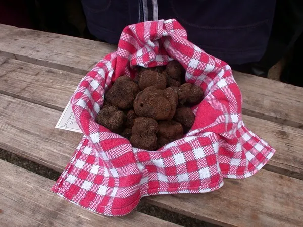 Marché aux truffes de Gignac