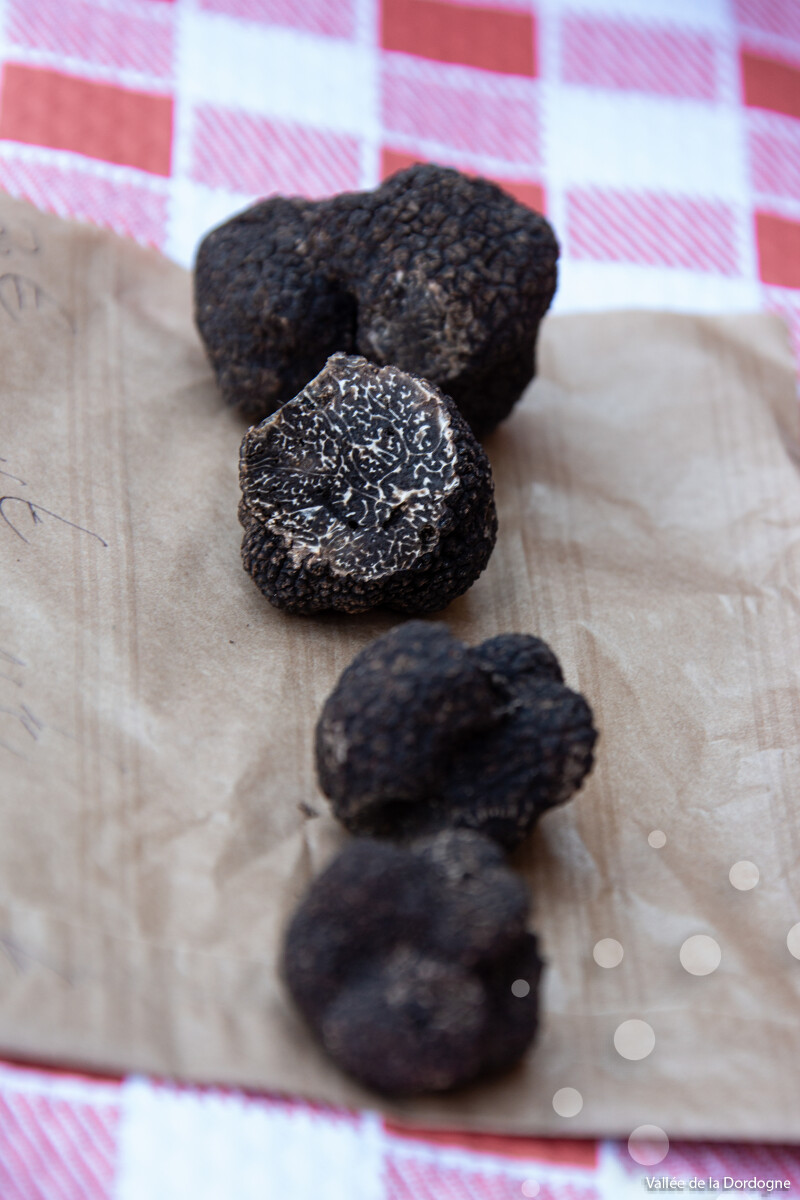 Marché aux truffes de Saint-Céré