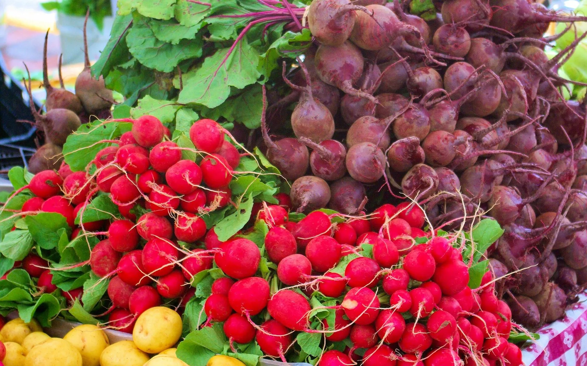 Marché de Gien Mercredi