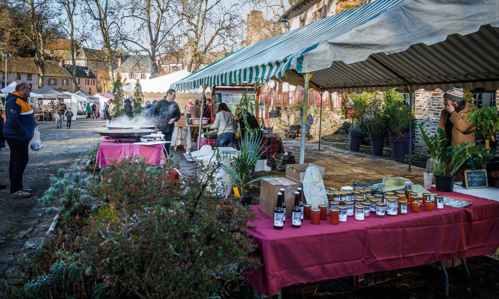 Marché de Noël de Ségur Le Château