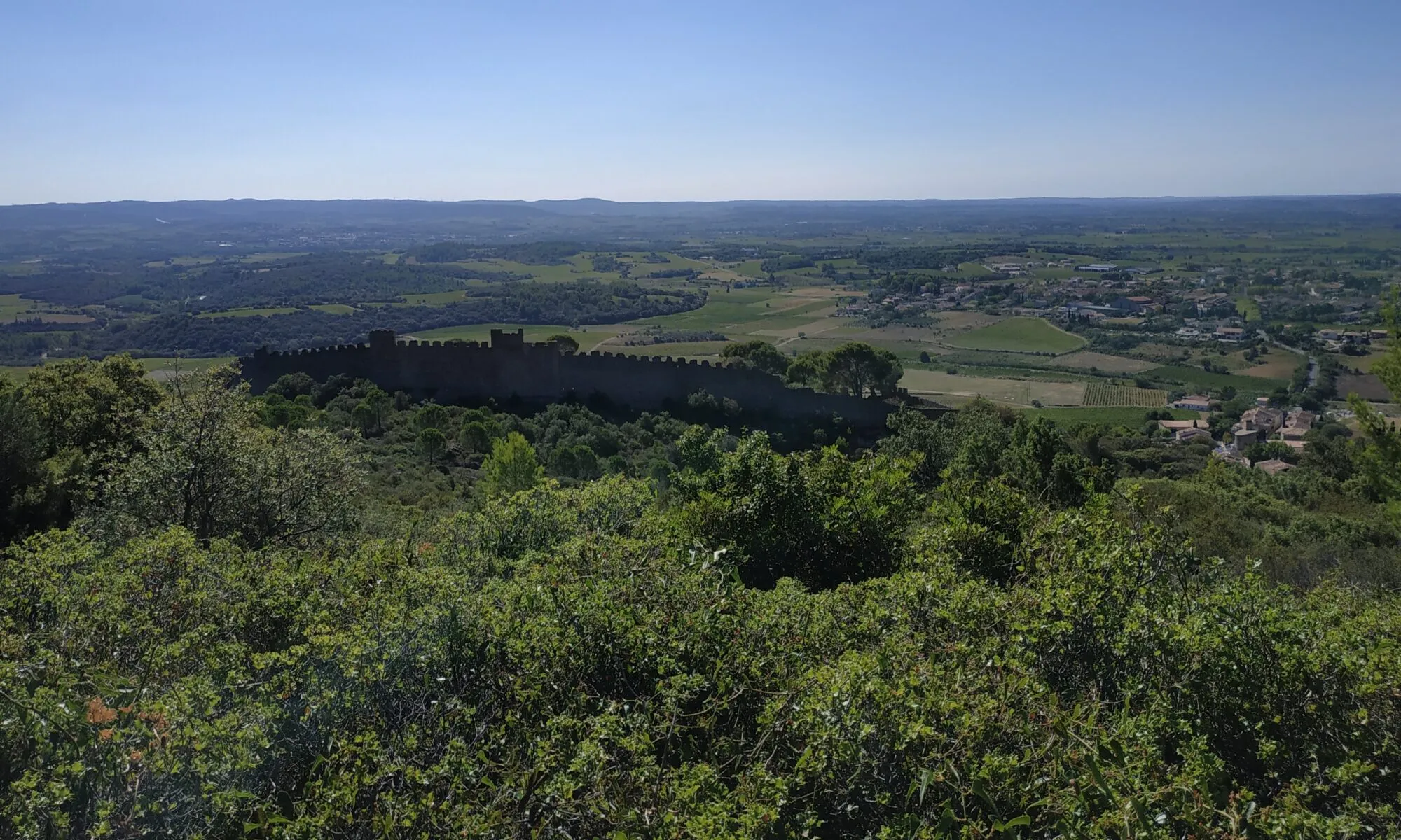 MARCHE ENTRE GARRIGUE ET PLAINE VITICOLE