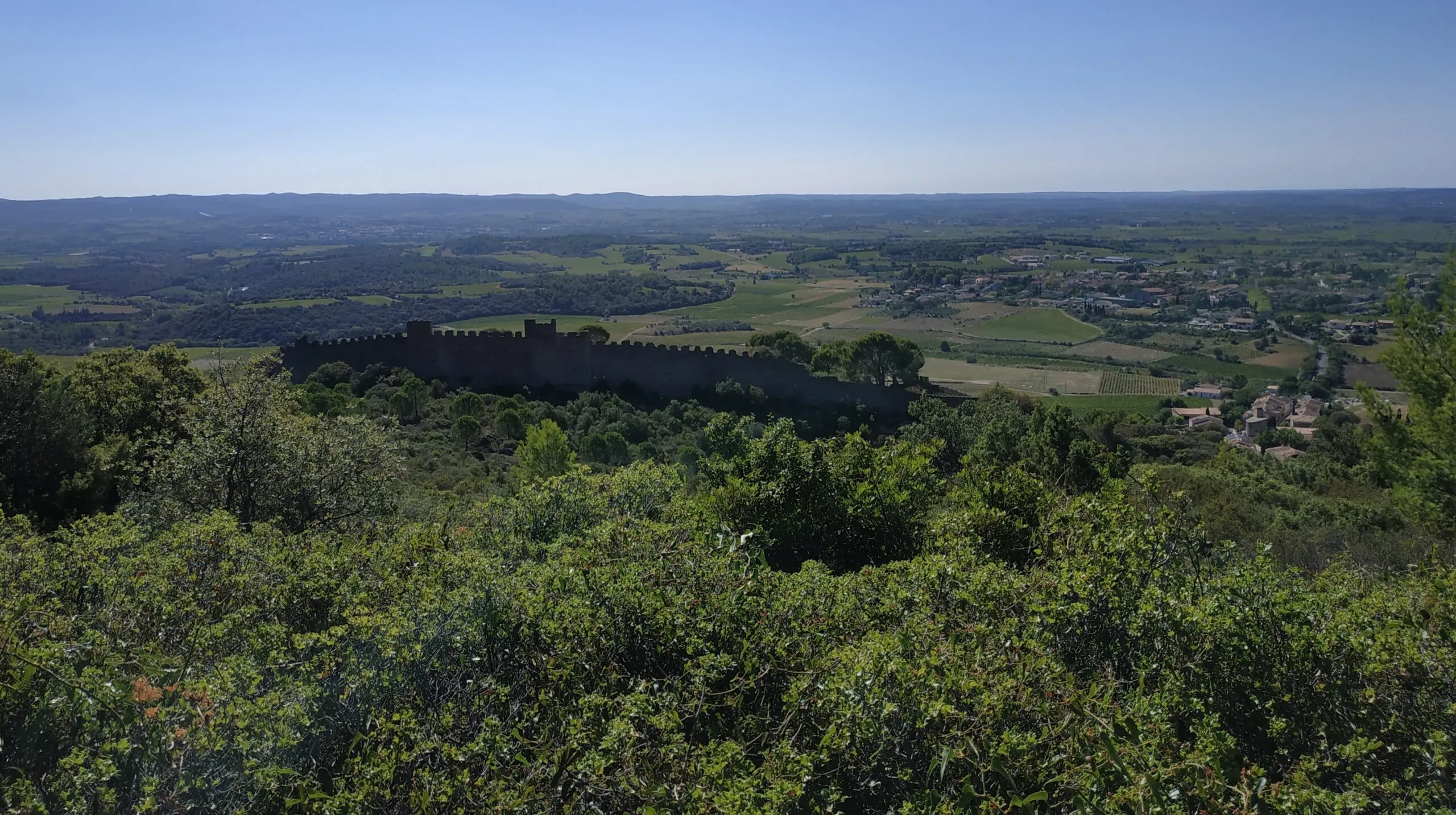 MARCHE ENTRE GARRIGUE ET PLAINE VITICOLE