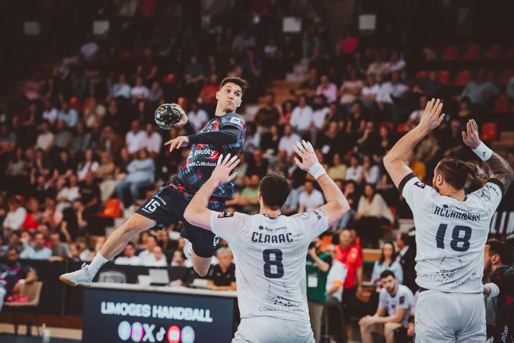 Match de handball LH87 Chambéry Savoie Mont Blanc