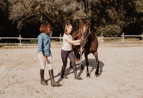 Mediation animale "Equicoaching" avec Laurie Jayet