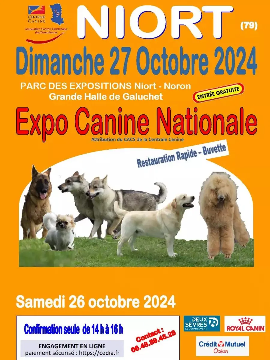 Exposition canine nationale à Niort