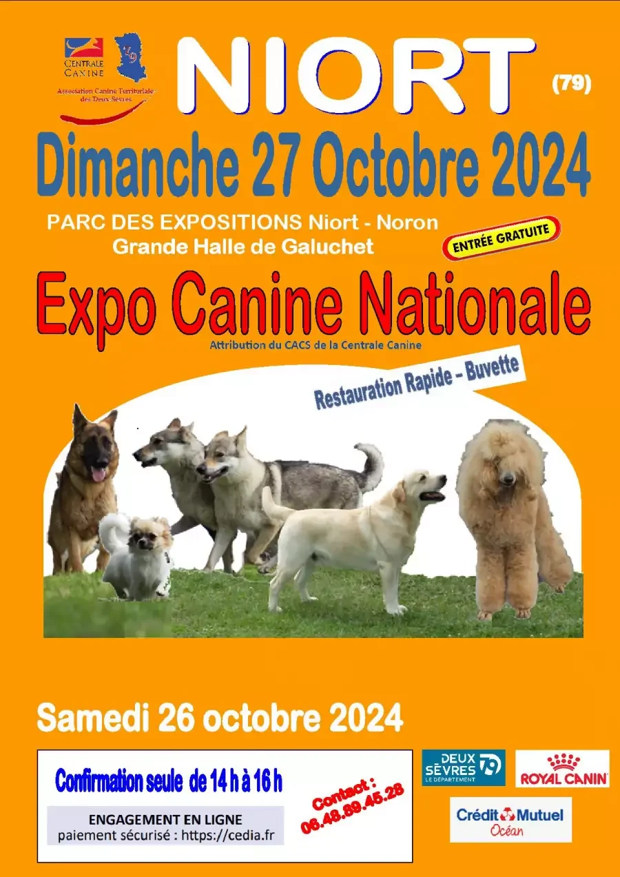 Exposition canine nationale à Niort