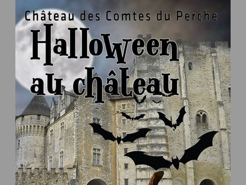 Vacances d'automne 2024 au Château I Jeu de l'intrus au musée