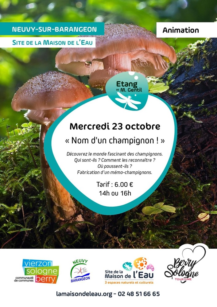 Nom d'un champignon