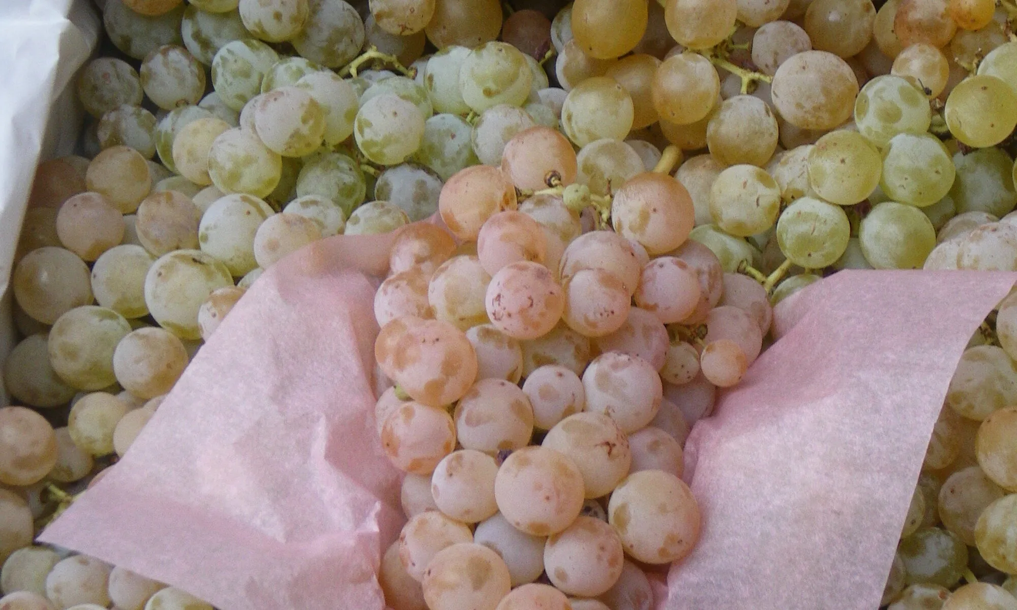 PETIT MARCHÉ TRADITIONNEL DE CREISSAN