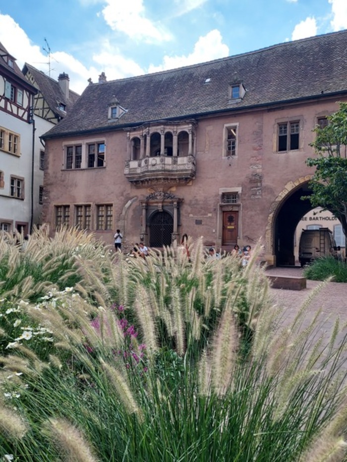 Place de la Cathédrale de Colmar transformée: faire entrer la « nature » pour plus de modernité Collégiale Saint-Martin de Colmar Colmar