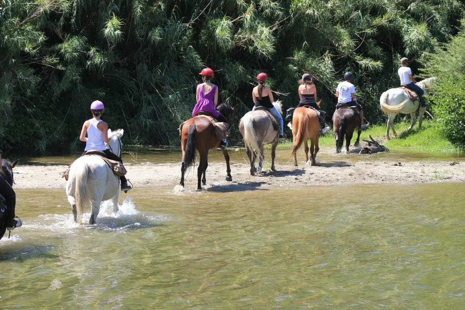 PROMENADE À CHEVAL DE 2H AVEC RANDO ET CHARIOT