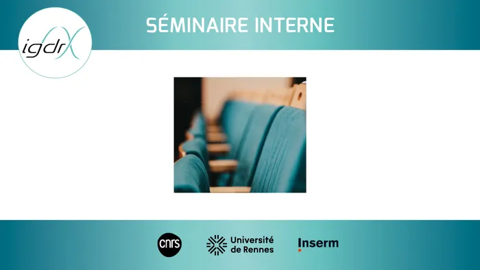 Séminaire interne - Emeline Durel & Christophe Thiriet Salle de conférence - IGDR - Université de Rennes - RDC bâtiment 4 - Campus Santé Villejean Rennes