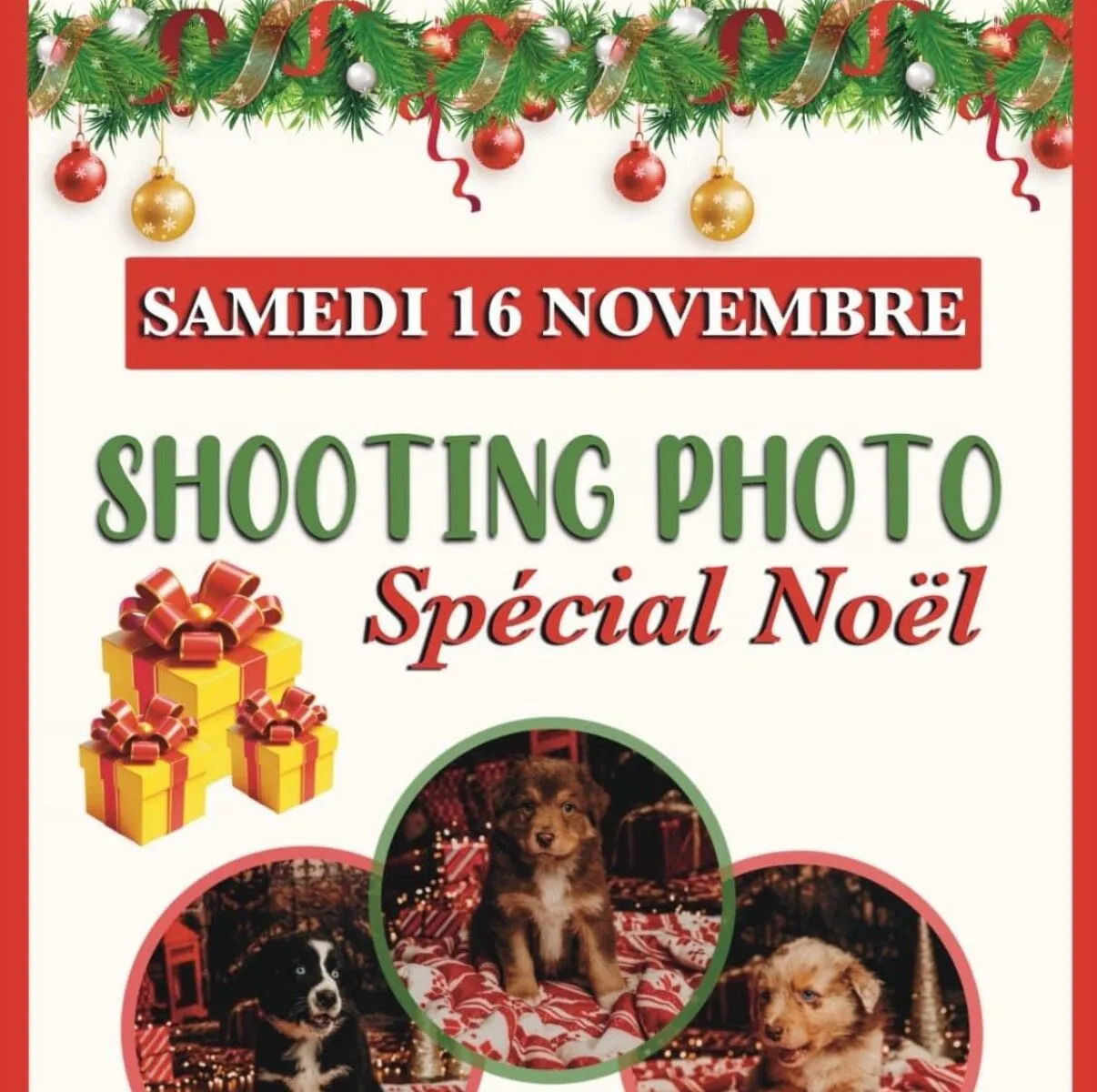 SHOOTING PHOTO SPÉCIAL NOËL