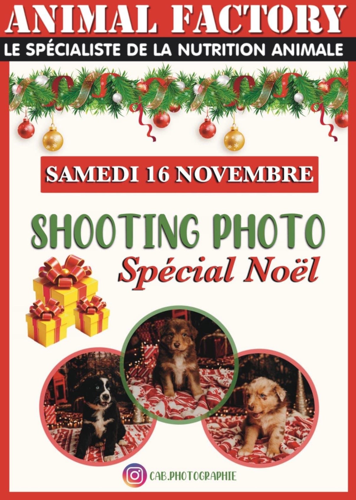 SHOOTING PHOTO SPÉCIAL NOËL