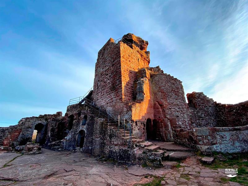 Sortie nature et patrimoine au château Hohenbourg