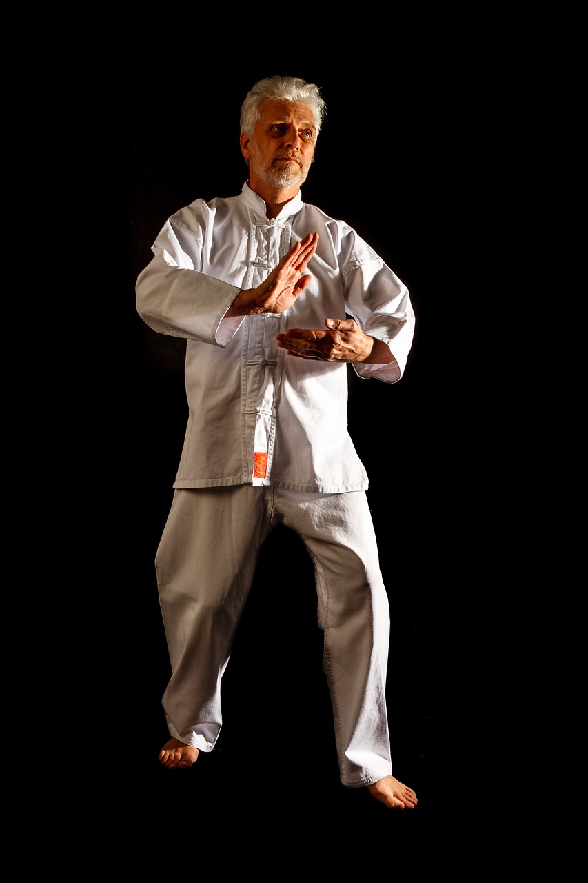 Stage Tai chi chuan Qi Gong en Périgord